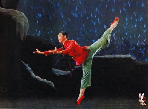 枫叶卡是什么样的